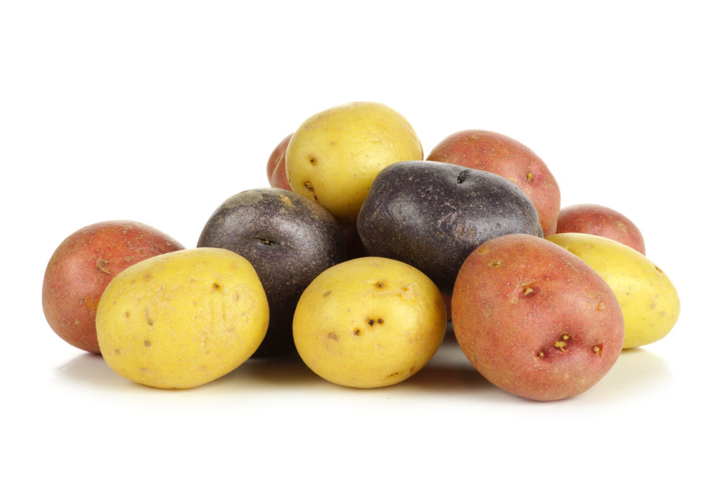 Pile of colorful little potatoes over white