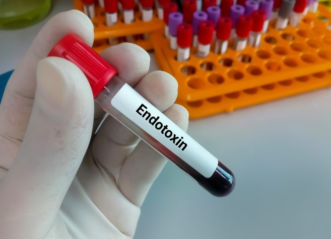 What are Pyrogens and Endotoxins?